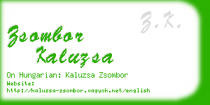 zsombor kaluzsa business card